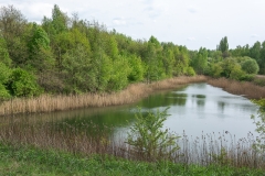Żabie Doły - Bytom 2024